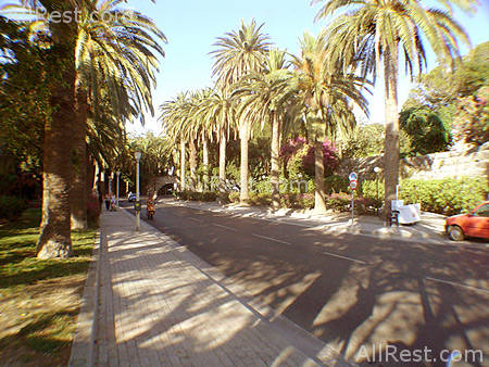 Theodorou Beach Hotel 20